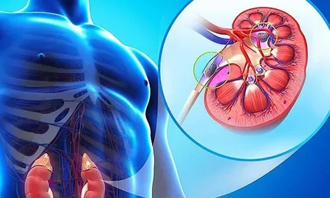 3 bí quyết dưỡng thận, thải độc hằng ngày