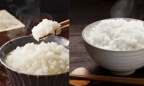 Mẹo ăn Cơm Trắng để không lo tăng đường huyết và béo phì: Ăn cho đã thèm mà vẫn khỏe