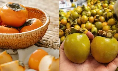 Hồng giòn vào mùa chín vàng ngon nhưng 6 người này nên hạn chế ăn kẻo phải cấp cứu