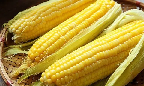 Ăn ngô luộc cực hại cho 5 nhóm người này