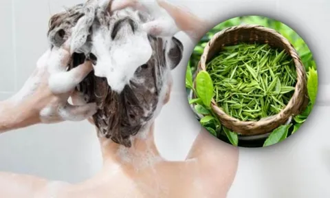 Cách gội đầu bằng lá trà xanh giúp giảm rụng tóc, làm mượt tóc