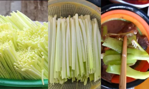 Loại rau dại miền Tây bất ngờ “lên đời”: Bán chợ mạng 120.000 đồng/kg vẫn cháy hàng