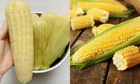 Ngô tốt cho sức khỏe, nhưng ăn sai cách có thể rước bệnh vào thân, đặc biệt 3 nhóm người này