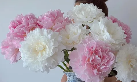Đặt ở góc nhà 2 loài hoa này, trời phú cho đặc tính “phú quý, cát tường, thịnh vượng và hạnh phúc”
