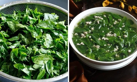 Tại sao nên vò rau ngót trước khi nấu?