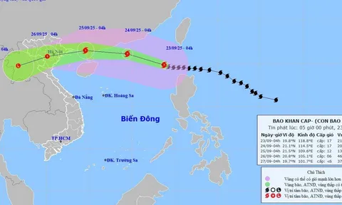 Tin mới nhất: Siêu bão chuẩn bị đổ bộ, miền Bắc mưa to đến rất to kéo dài nhiều ngày