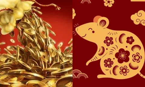 Tuần cuối tháng 9: 3 con giáp bước vào thời kỳ 'tam hợp', thoát nghèo - tiền vào như nước, ai cũng nể phục
