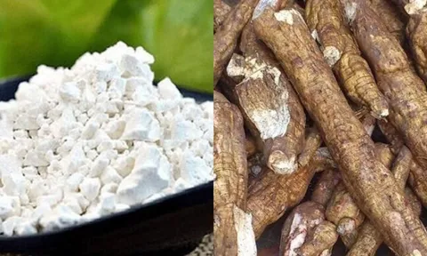 Bột sắn dây, uống thế nào để giải độc gan?