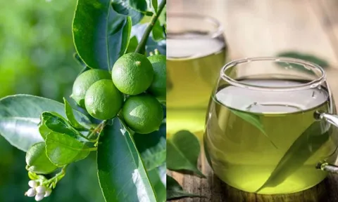 Cách dùng nước Lá Chanh: tiêu hóa tốt, thanh nhiệt thải độc lại giúp thư giãn, ngủ ngon