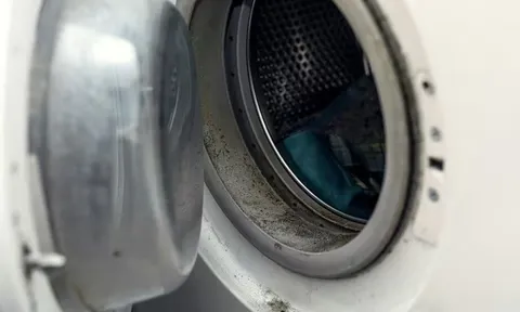 Xóa sạch vết mốc đen trên máy giặt chỉ trong 15 phút với nguyên liệu tự nhiên