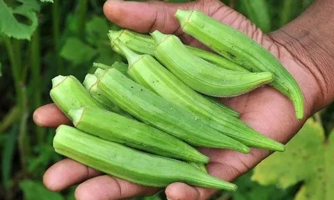 4 loại rau quý ngang nhân sâm bác sĩ khuyên ăn nhiều, chợ Việt chỉ cần 10k đủ 4 người ăn