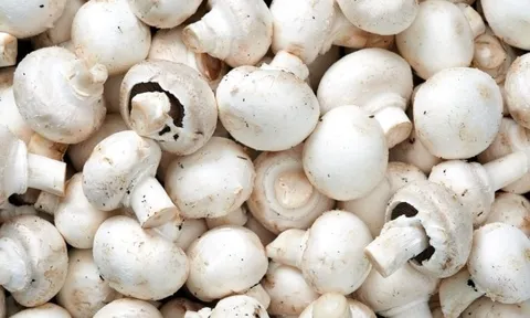 5 thực phẩm màu trắng tốt cho sức khỏe