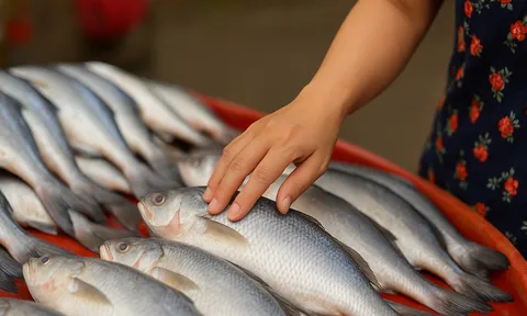 Cá tươi nhìn đẹp nhưng toàn urê, hàn the? 6 dấu hiệu "vạch mặt" cá tẩm hóa chất chị em phải nhớ