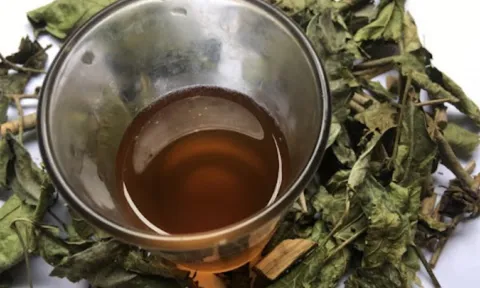 Nước xạ đen không phải thần dược, 5 người này càng uống càng sinh bệnh