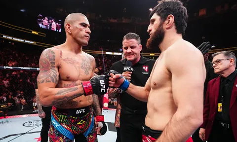 Alex Pereira nổi đóa, gọi Magomed Ankalaev là 'gã vô dụng' vì trốn tránh đối mặt