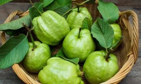 Quên cam, chanh đi: Loại quả này mới là giàu Vitamin C bậc nhất