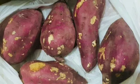 Ăn khoai lang ngon miệng nhưng cực hại cho 5 người này