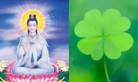 Bồ Tát che chở 3 con giáp này: Không bệnh tật, sống trường thọ, của cải dồi dào