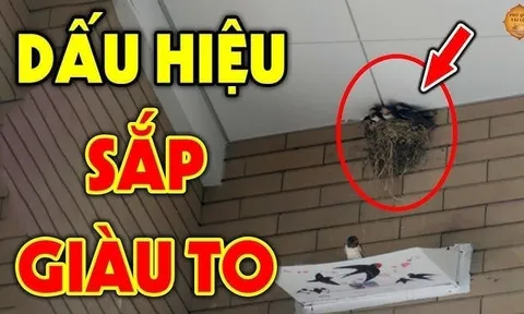 4 dấu hiệu nhà sắp trúng số giàu to