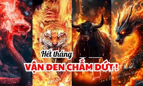 Từ 2025 đến 2030: 5 năm Chuyển Vận - 4 tuổi Thời Tới cứ thế mà phất lên