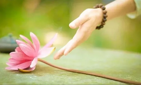 Tất cả những gì bạn cho đi, sẽ quay trở lại với bạn. Bạn có tin không?