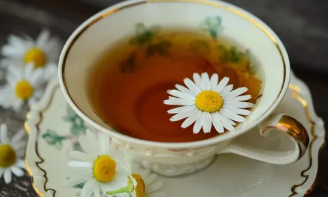 Thải độc cho cơ thể bằng trà hoa cúc