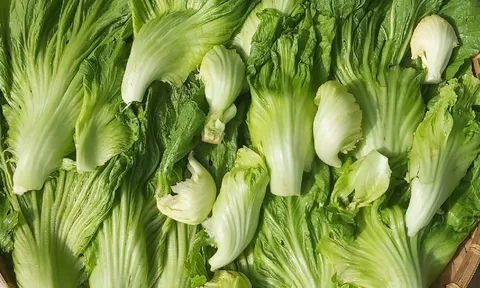 Chợ Việt có một loại rau giàu canxi gấp 8 lần cá, giá rẻ, dễ nấu nhưng nhiều người chưa biết