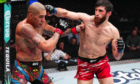 Alex Pereira bị xem thường trước UFC 320: "Chỉ là một gã kickboxer già cỗi"