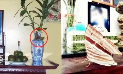 Bát hương có dấu hiệu này: Điềm báo may mắn, gia chủ Trúng Lớn tiền tiêu 3 đời