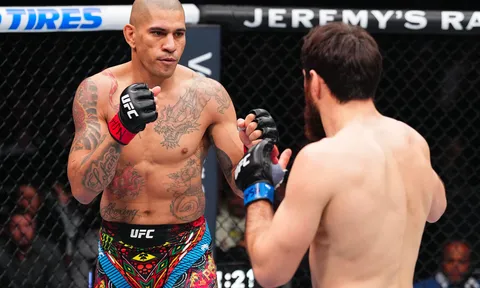 Alex Pereira đối mặt Magomed Ankalaev tại UFC 320: Liệu 'Poatan' có đòi lại được ngai vàng?