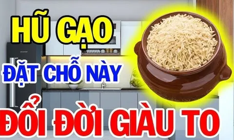 Hũ gạo đặt đúng chỗ này, Tiền Tài chảy về ào ạt
