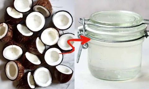 Mẹo làm dầu dừa ép lạnh nguyên chất trong vắt, không cần nấu