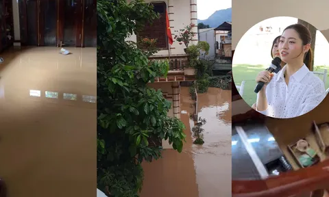 Nhà Hoa hậu Lương Thùy Linh chìm trong nước sau bão số 10: Cảnh tượng tan hoang khó tin