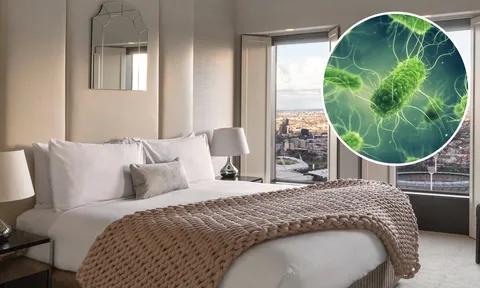 5 món đồ bẩn nhất trong nhà nghỉ, khách sạn
