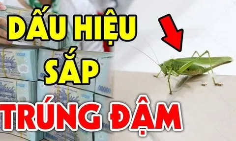 Nhà có dấu hiệu này sắp Trúng Đậm: Càng ở càng giàu có, 3 đời không hết phúc