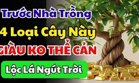 4 loại cây chiêu tài đón lộ: Trồng trước cửa nhà nào nhà đó giàu có, 10 nhà giàu thì 9 nhà có