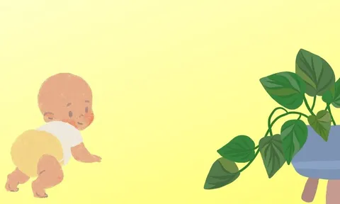 Nhà có con nhỏ, hãy cẩn trọng khi trồng 5 loại cây cảnh này