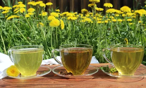 4 loại nước dân dã giúp thải độc gan thận, thanh lọc cơ thể, ổn định đường huyết