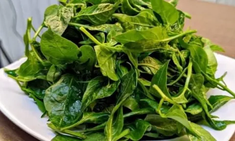Món canh từ lá ít người biết: Giàu canxi không thua cải bó xôi hay cải xoăn, tốt cho xương khớp