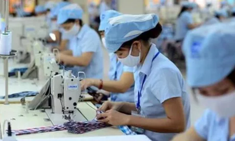 Tin vui: Người lao động tại khu vực này sắp được tăng lương tối thiểu thêm 900.000 đồng/tháng, hưởng lợi lớn