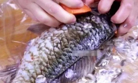 3 loại cá cần tránh mua ở chợ: Rẻ mấy cũng không nên, đặc biệt loại số 3 nhiều bà nội trợ thích