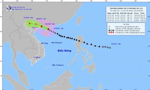 Cập nhật tin bão số 11: Bão Matmo suy yếu, ở Hạ Long đang mạnh lên