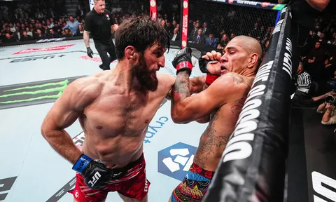 UFC 320: Alex Pereira và bài toán 'lật kèo' trước Magomed Ankalaev