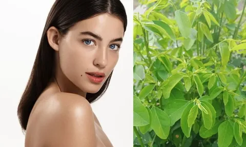 Loại rau chỉ vài nghìn một bó là thần dược làm đẹp ít ai biết