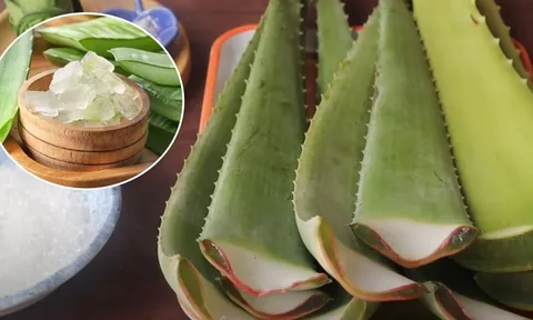 Mẹo sơ chế nha đam hết nhớt, ăn không bị đắng