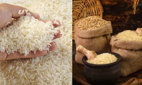 Vì sao người xưa khuyên đựng gạo trong thùng gốm vừa tốt sức khỏe vừa giữ phong thủy giàu có?