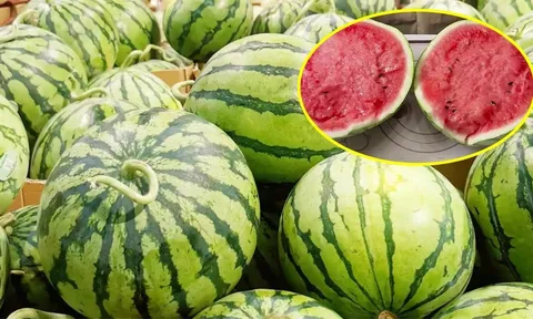 4 kinh nghiệm chọn dưa hấu ruột đỏ, vỏ mỏng, ngọt lịm