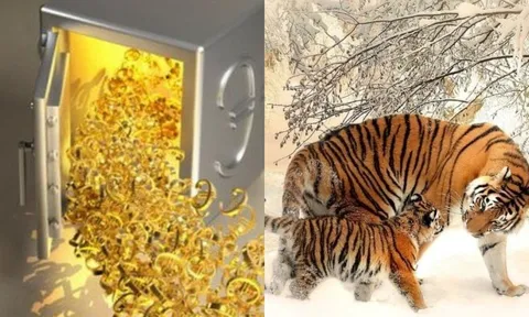 15 ngày (từ 15-30/10) vận đỏ phủ kín: 3 con giáp càng làm càng giàu, tiền đẻ ra tiền, Tết tiêu không hết