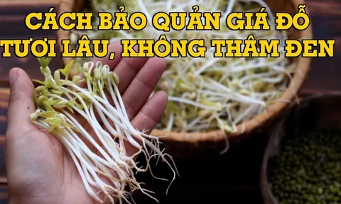 Cách bảo quản giá đồ để cả tuần vẫn mũm mĩm, không sợ thâm đen