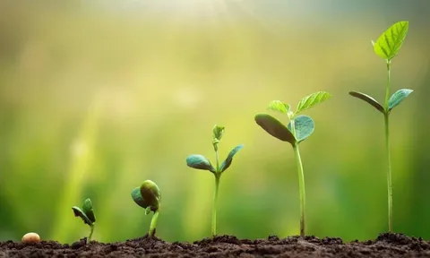 Chẳng cần hợp tuổi hợp mệnh, 5 yếu tố này giúp một người luôn được quý mến, càng già càng hạnh phúc, giàu có